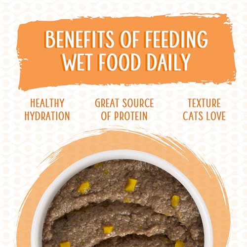 Wet Cat Food Who Wants to be a Meowionaire with Chicken and Pumpkin Pate
