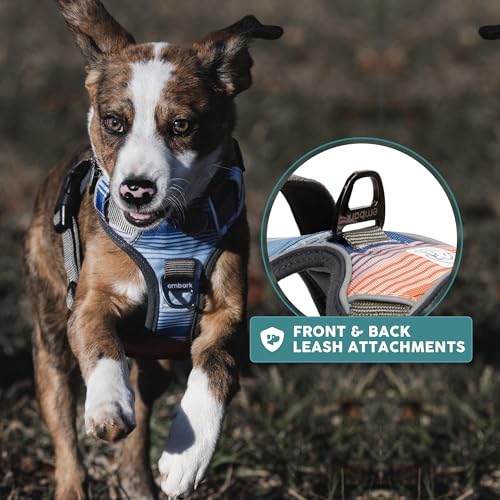 Embark No Pull Dog Harness (XS / Santa Monica)