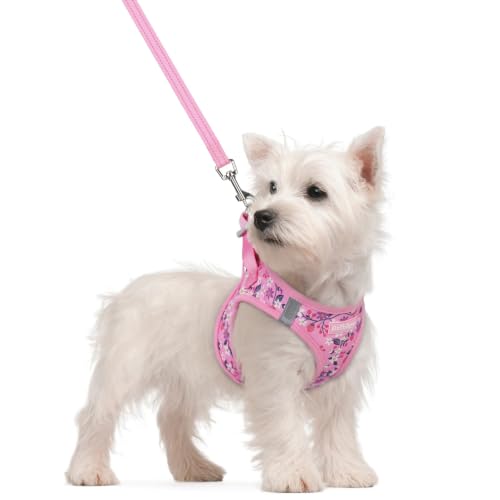 Dog Harness Small Sized and Leash Set (Pink Floral / S (chest: 15.1 - 16.5"))