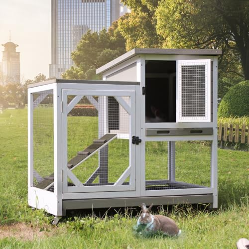 2 Story Rabbit Hutch with Chew