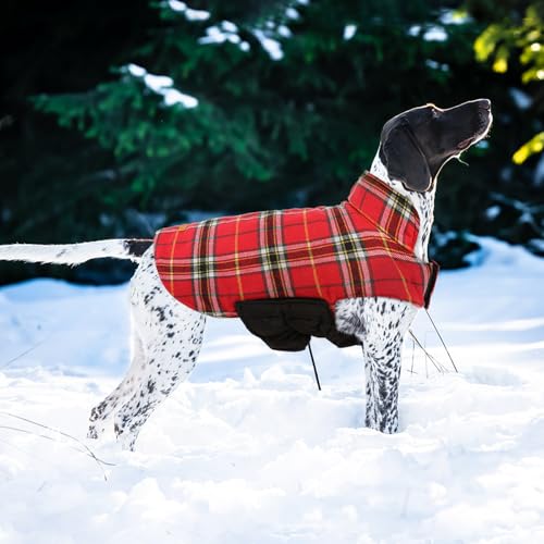 Waterproof Dog Coat (Bright Red / Medium (Pack of 1))