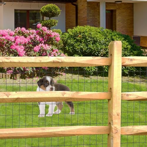 Black PVC Coated Welded Wire Fence 36" x 100' Roll (Black / 2''x3'' 16GA 36''x100')