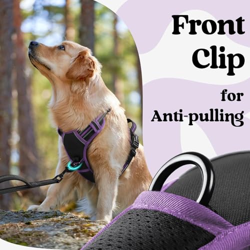 Dog Harness Small Sized (Black & Purple / Small)