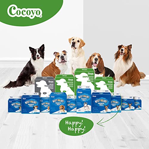 Dog Training Pads Extra Large Size丨Carbon Absorb Eliminating Urine Odor Puppy Pads 丨 Premium Charcoal Dog Pee Pads (30 x 36 in)