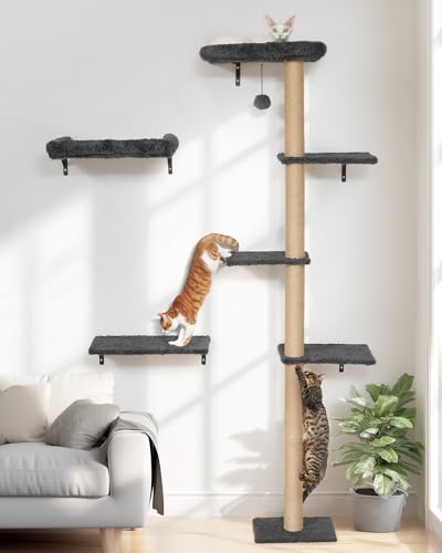 Cat Wall Shelves Set (Grey)