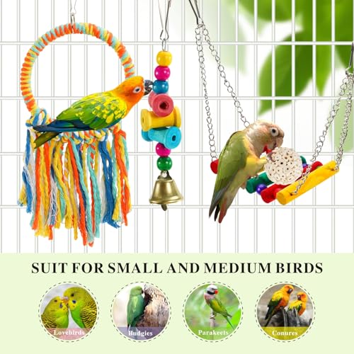 Bird Hoop Swing and Parakeet Toys (colorful)