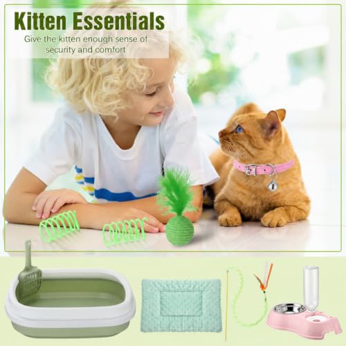 10 Pcs Kitten Starter Kit for Indoor (Classic / Medium / Pink Green)