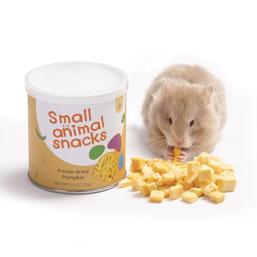 Hamster Snack Treat Toy