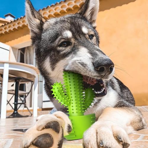 Dog Chew Toys (For Medium Dog / Grassgreen)