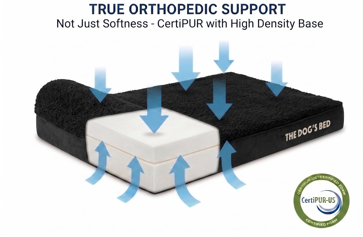 The Dog’s Bed Orthopedic Memory Foam Dog Bed with Headrest Large (Black Plush / L (40"L x 25"W x 6"Th))