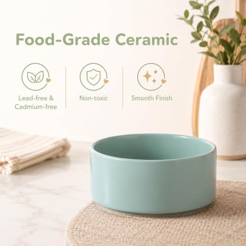 Ceramic Dog Bowls Elevated (Light Green)