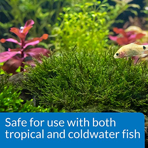 ROOT TABS Freshwater Aquarium Plant Fertilizer 0.4 (10 Ct (Pack of 1))