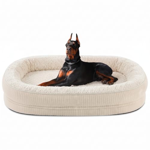 Orthopedic Dog Bed for Extra Large Dogs (Beige / 48"l X 35"w X 7.5"th)