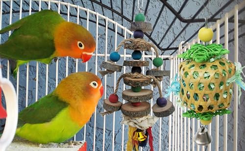 Bird Toys for Conures Parakeet (BellBall)