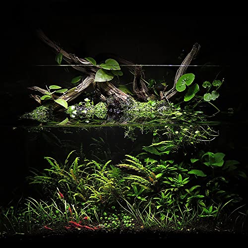 Controsoil Freshwater Aqua Soil Substrate for Fish (10 Liters (9.1 kg) / Black - Extra Fine)