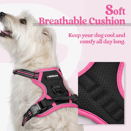 Dog Harness No Pull for Small Dogs with 2 Leash Clips (X-Small / Black & Hot Pink)