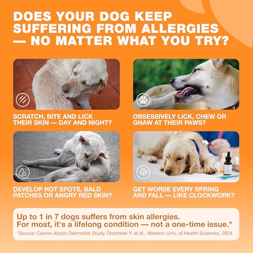 Dog Allergy Relief Chews for Itchy Skin (180 count / Allergy Support Chews)