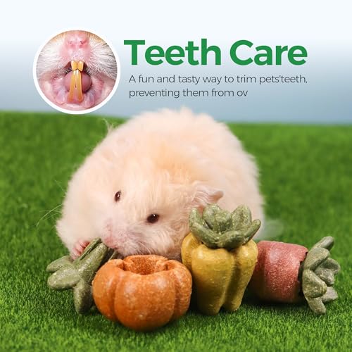 Guinea Pig Chew Toys (3PCS-Fruit & Vegetable)