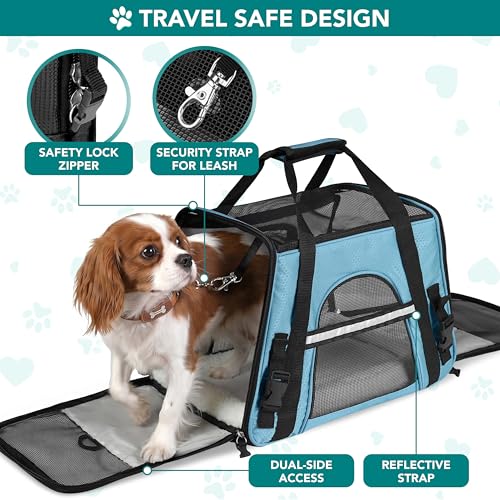 Airline Approved Pet Carrier for Cats & Small Dogs (Light Blue / 19.5"L x 10.2"W x 12.0"H)