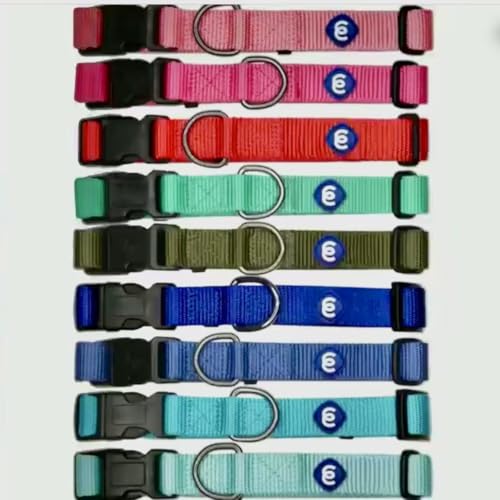 Essentials Medium Dog Collar in Flint Gray (Medium / Flint Gray)