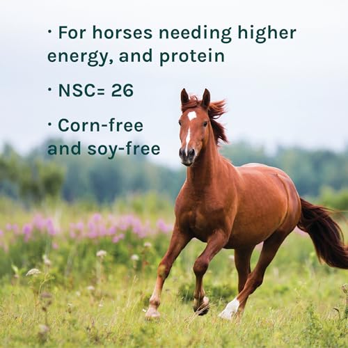 Elite Horse Feed for Horses Under The Stresses of Competition and Travel (40 Pound (Pack of 1))