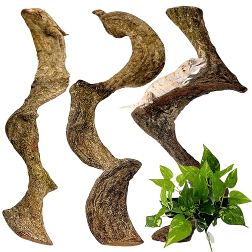 3PCS Natural Reptile Climbing Branches Decor (3PCS|S:0.75-1.25"T,13"H)