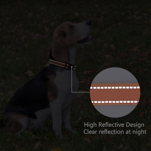 Reflective Dog Collar (Orange / M:width 3/4"neck 14-20.5")