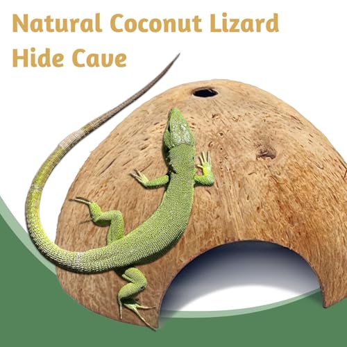 6 PCS Natural Coconut Reptile Hideouts Lizard Coco Hut Hermit Crab Hut Aquarium Fish Hide Cave Spider Snail Climber Toys (Smooth Surface / 6 PCS)