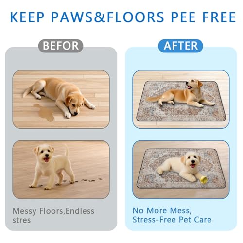 Washable Pee Pads for Dogs 2 Pack (24"x36"(2 Pack) / C Brown)