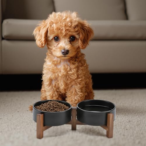 Ceramic Dog Bowls with Acacia Wood Stand (13.52 Oz / Black)