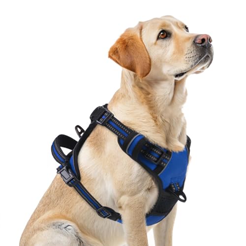 No Pull Dog Harness for Large (Blue / Large)