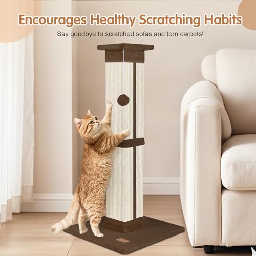 Cat Scratching Post 33 inch for Indoor Cats (Brown)