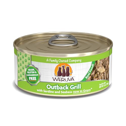 Classic Cat Food (5.5 Ounce (Pack of 24))