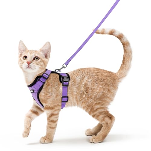 Cat Harness and Leash Set (Xs / Light Purple)