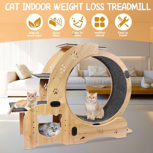 55" cat Wheel