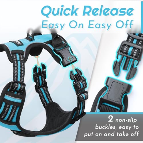 Dog Harness for Large Dogs (X-large / Sky Blue)