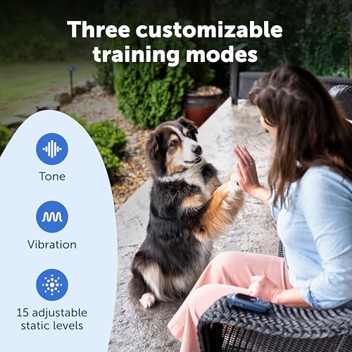 Core Dog Trainer Remote Collar (1-Dog Trainer)