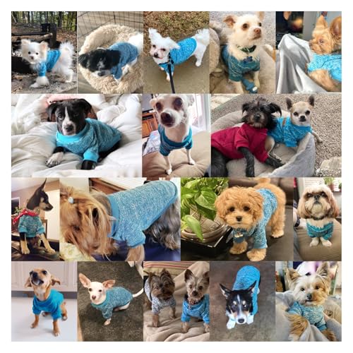 Dog Sweaters for Small Dogs (Light blue / X-Large)