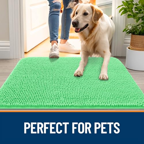 Dog Door Mat for Muddy Paws 30x20 (Mint Green / 30" X 20")