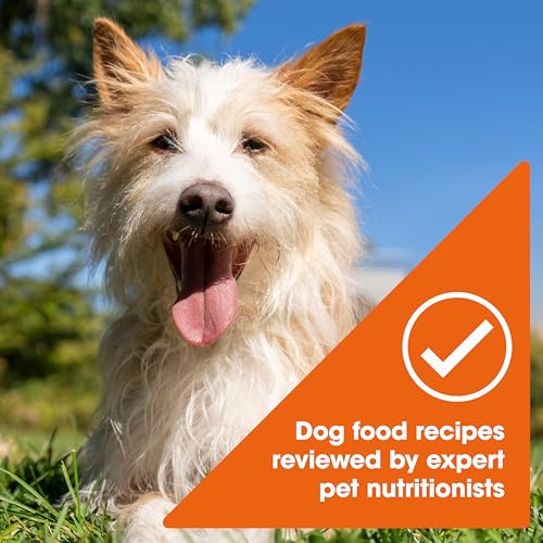 Nature’s Recipe Grain Free Wet Dog Food Chicken