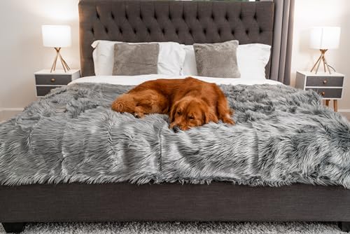 PupProtector Waterproof Throw Blanket (Charcoal Grey / Large (80" L x 62" W))