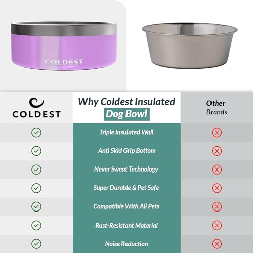 Coldest Dog Bowl (64 oz / Saturns Purple Glitter)