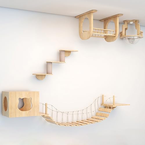 Cat Wall Climber