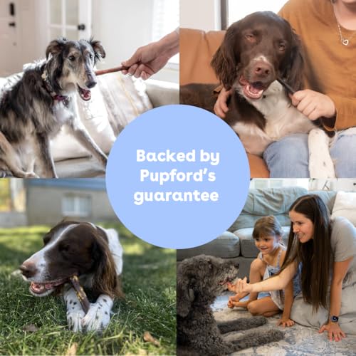 Collagen Stick Chews for Dogs & Puppies