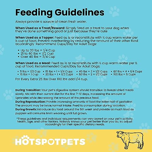 Freeze Dried Raw Beef Meal Toppers for Dogs 1LB Bag