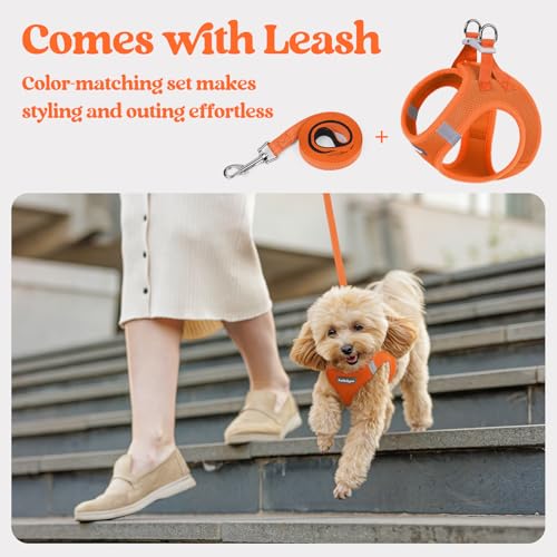 Dog Harness Medium Sized and Leash Set (Orange / Xxl (chest: 21.6 - 23.7"))