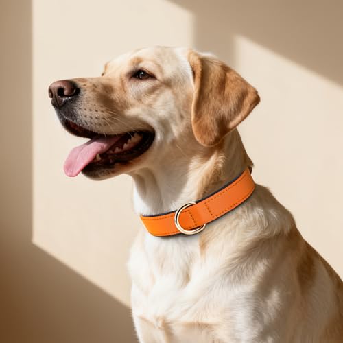 Soft Padded Dog Collars for Large Dogs (Orange / XL: Fit 17-23" Neck)