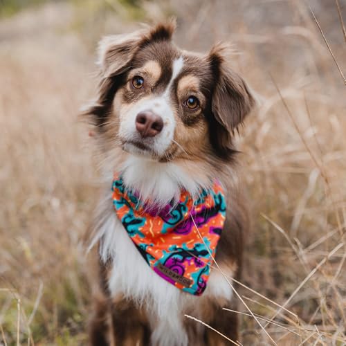 Dog Bandana with Lightweight Quick Drying Poly (The Lizards)
