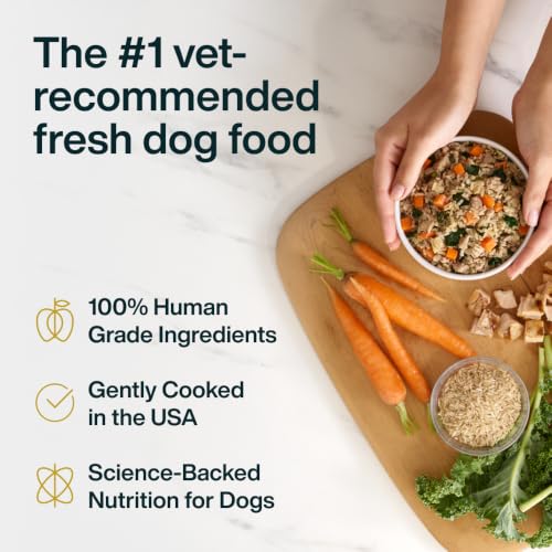 Pantry Fresh Wet Dog Food (12.5 Ounce (Pack of 12))