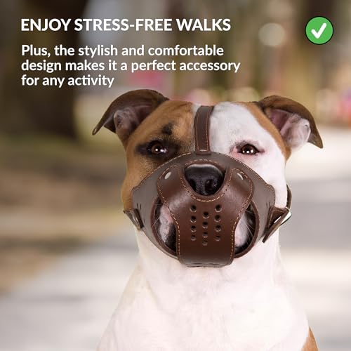Leather Basket Muzzle for Pitbull & Amstaff (Brown Basket)